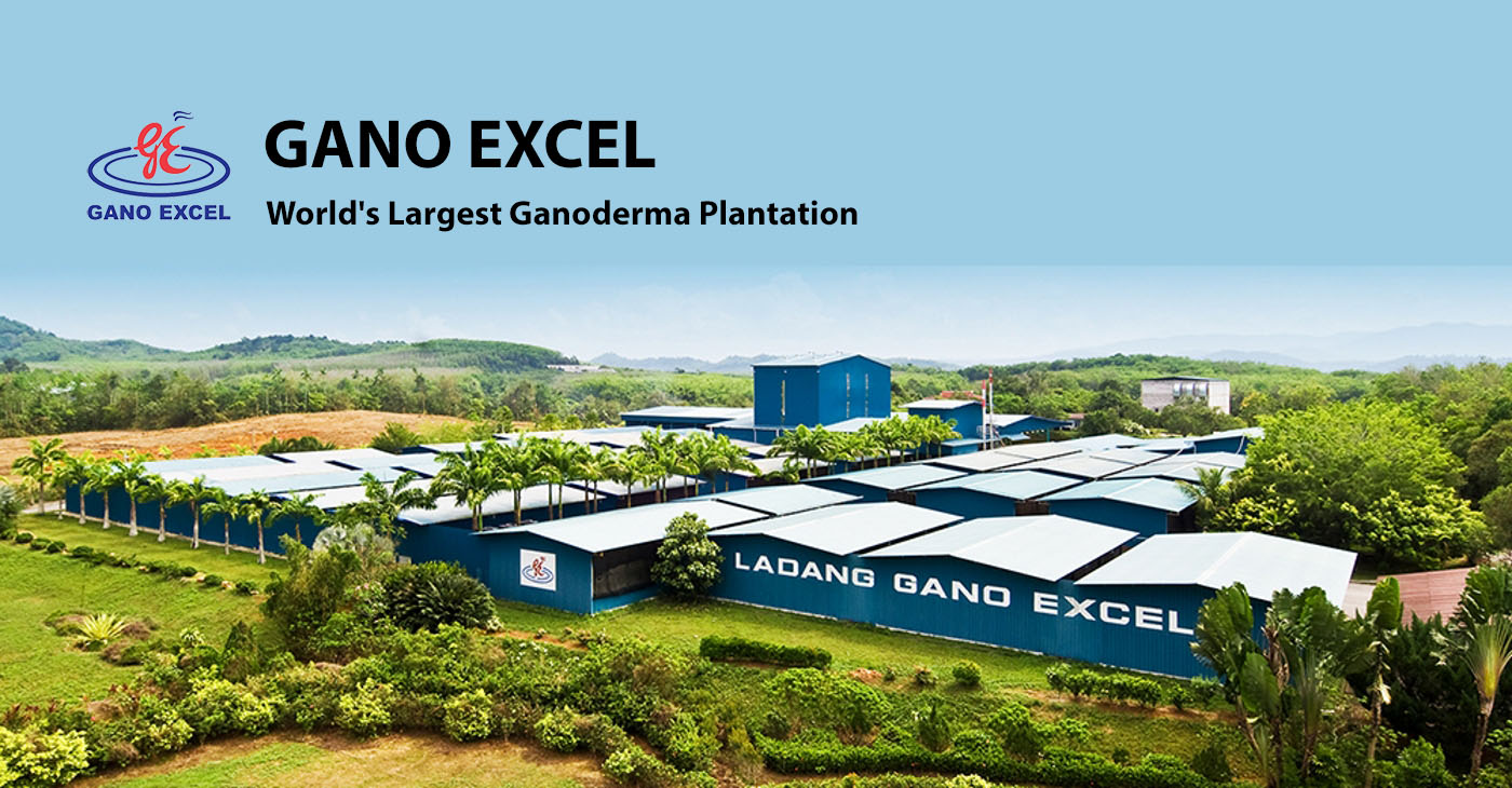 Gano Excel